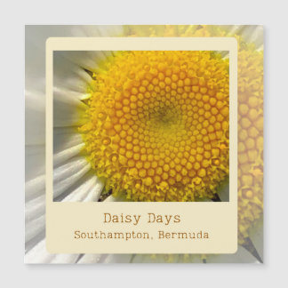 magnetische Kaart van Bermuda Daisy