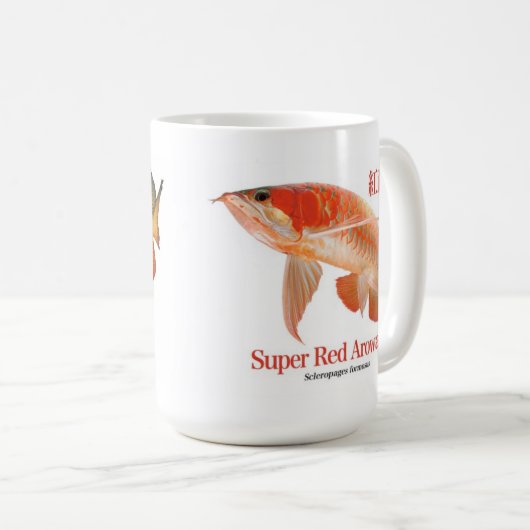 Magnetische kop van suparetsudo arowana en mareshi (Voorkant rechts)