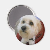 Magnetische persoonlijkheden - Freddie Magneet (Voorkant / Achterkant)