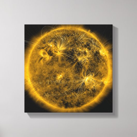 Magnetische veldlijnen op de zon canvas afdruk (Voorkant)