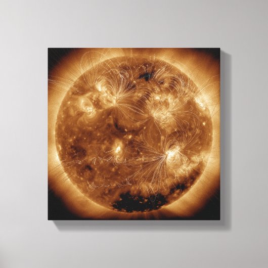 Magnetische veldlijnen op zon 2 canvas afdruk (Voorkant)