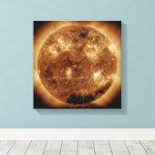 Magnetische veldlijnen op zon 2 canvas afdruk (Insitu (Houten vloer))