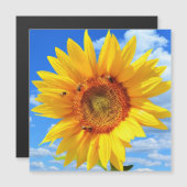 Magnetische zomerkaart met gele zonnebloem (Voorkant / Achterkant)