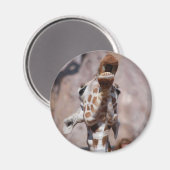 Magnetnummer 1 magneet (Voorkant / Achterkant)