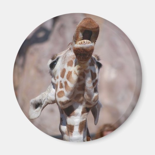 Magnetnummer 1 magneet (Voorkant)