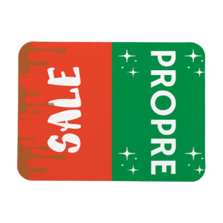 Magneto magnetisme in Frans Magneet