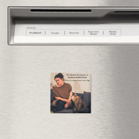 Magneto - week 4 magneet (Insitu (Vaatwasser))