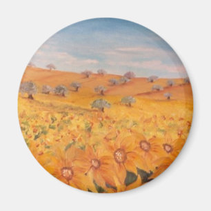 MAGNETS / IMANS MAGNEET