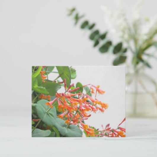 "Magnifica" Honeysuckle Briefkaart (Staand voorkant)