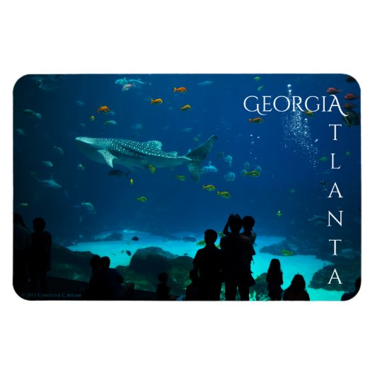 Magnificant Atlanta Georgia Magneet (Horizontaal)