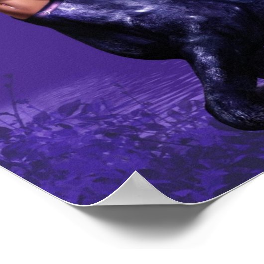 Magnificant Centaur-Poster Poster (Hoek)