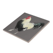 Magnificant Cocreet nr. 1 Tegeltje (Zijkant)