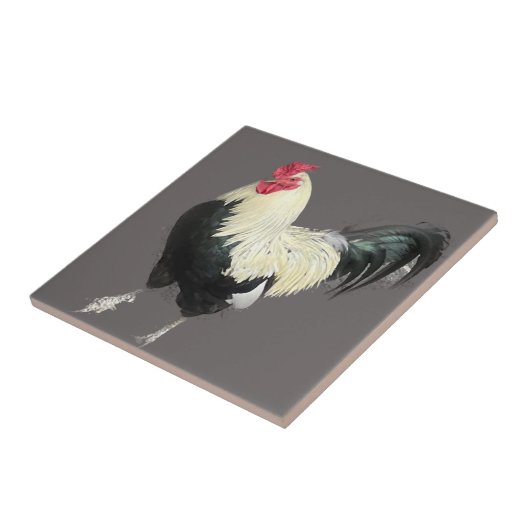 Magnificant Cocreet nr. 1 Tegeltje (Zijkant)