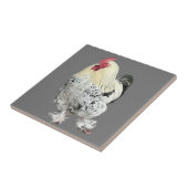 Magnificant Cocreet nr. 2 Tegeltje (Zijkant)