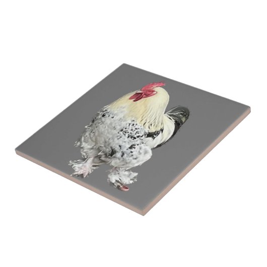 Magnificant Cocreet nr. 2 Tegeltje (Zijkant)