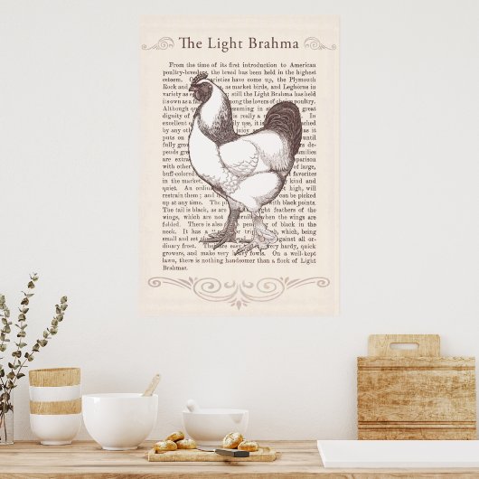 Magnificant Light Brahma Rooster Country Kitchen Poster (Keuken)