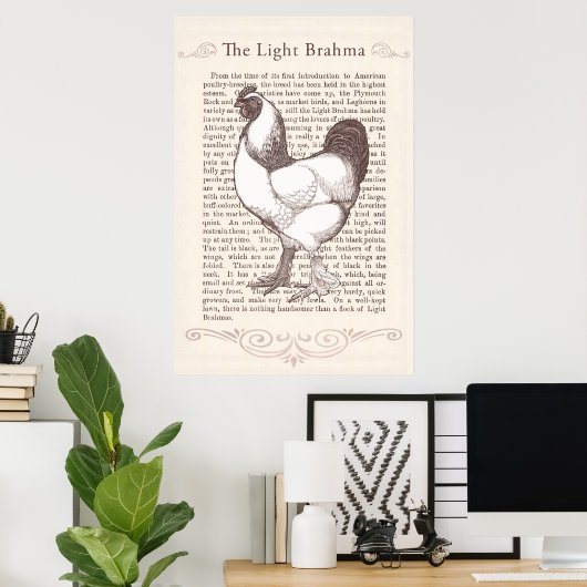 Magnificant Light Brahma Rooster Country Kitchen Poster (Thuiskantoor)