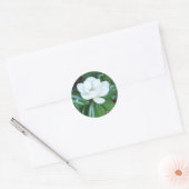 Magnificant Magnolia Ronde Sticker (Envelop)