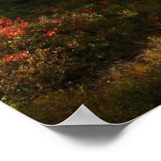 Magnificant Maine Poster (Hoek)