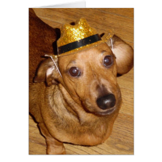 MAGNIFICANT MICKEY COWBOY