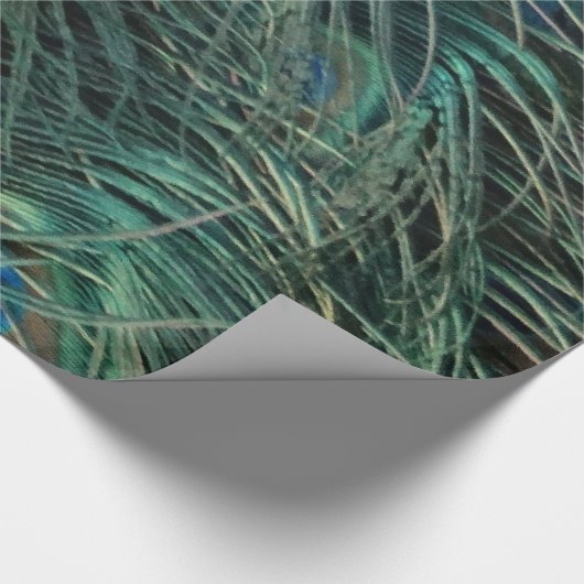 Magnificant Peacock Feathers Cadeaupapier (Hoek)