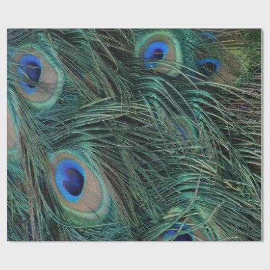 Magnificant Peacock Feathers Cadeaupapier (Vlak)