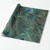 Magnificant Peacock Feathers Cadeaupapier (Uitgerold)