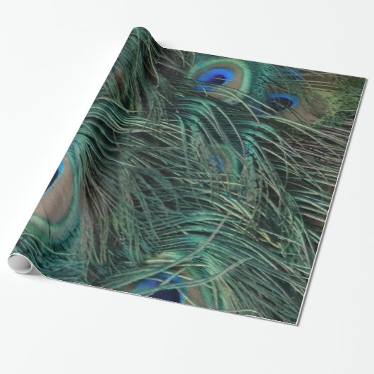 Magnificant Peacock Feathers Cadeaupapier (Uitgerold)