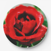 Magnificant Red Rose Love Papieren Bordje (Voorkant)