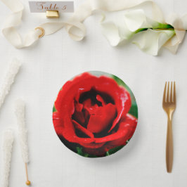 Magnificant Red Rose Love Papieren Kommen