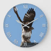 Magnificant Red-Tailed Hawk Raptor Bird of Prey Grote Klok (Voorkant)