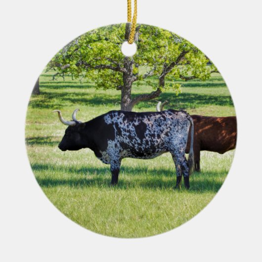 Magnificant Texas Longhorn Steers Keramisch Ornament (Voorkant)