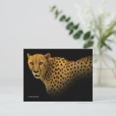 Magnificante Cheetah Big Wild Cat Briefkaart (Staand voorkant)