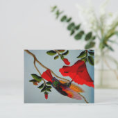 Magnificante Hummingbird Briefkaart (Staand voorkant)