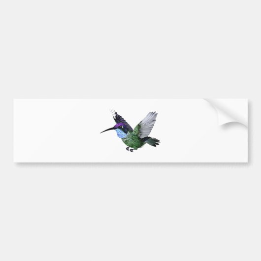 Magnificante Hummingbird Bumpersticker (Voorkant)