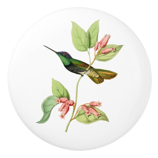 Magnificante Hummingbird Keramische Knop (Voorkant)