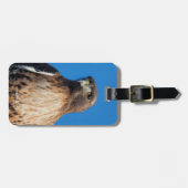 Magnificante Red-Tailed Hawk in de zon Bagagelabel (Voorkant horizontaal)