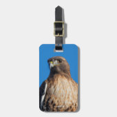 Magnificante Red-Tailed Hawk in de zon Bagagelabel (Voorkant verticaal)