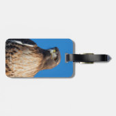 Magnificante Red-Tailed Hawk in de zon Bagagelabel (Achterkant horizontaal)