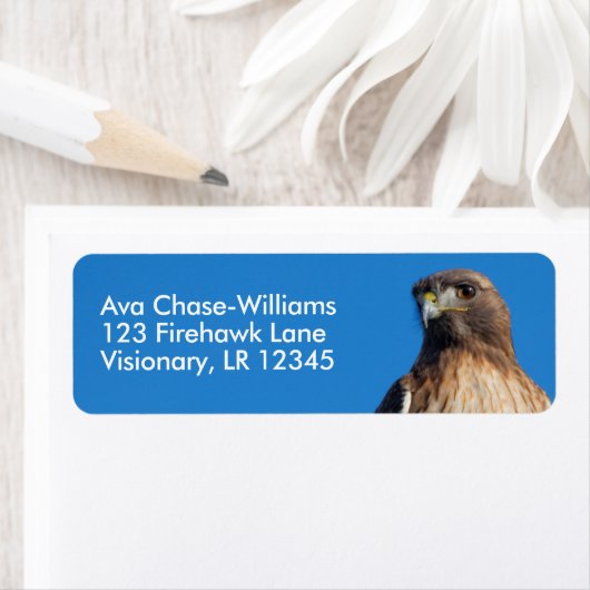 Magnificante Red-Tailed Hawk in de zon Etiket (Insitu)