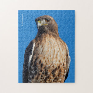 Magnificante Red-Tailed Hawk in de zon Legpuzzel