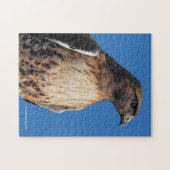 Magnificante Red-Tailed Hawk in de zon Legpuzzel (Horizontaal)