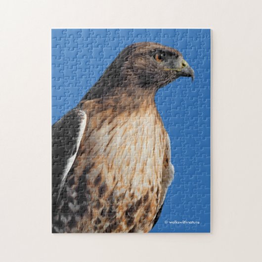 Magnificante Red-Tailed Hawk in de zon Legpuzzel (Verticaal)