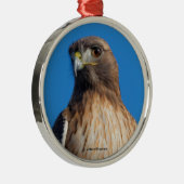 Magnificante Red-Tailed Hawk in de zon Metalen Ornament (Rechts)