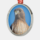 Magnificante Red-Tailed Hawk in de zon Metalen Ornament (Links)