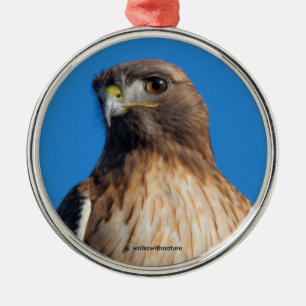 Magnificante Red-Tailed Hawk in de zon Metalen Ornament