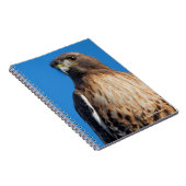 Magnificante Red-Tailed Hawk in de zon Notitieboek (Rechterzijde)