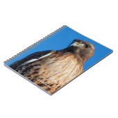 Magnificante Red-Tailed Hawk in de zon Notitieboek (Linkerzijde)