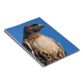 Magnificante Red-Tailed Hawk in de zon Notitieboek (Rechterzijde)