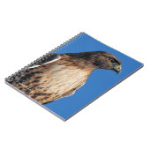 Magnificante Red-Tailed Hawk in de zon Notitieboek (Linkerzijde)